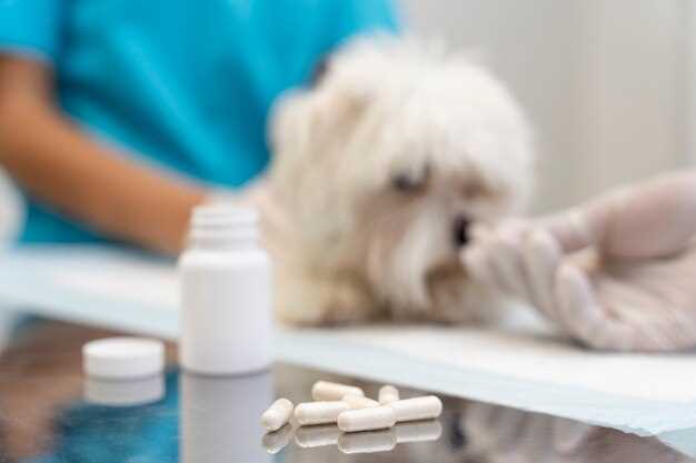 Amount of doxycycline for dogs