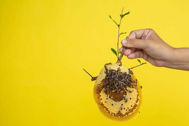 1. Identifying and avoiding triggers