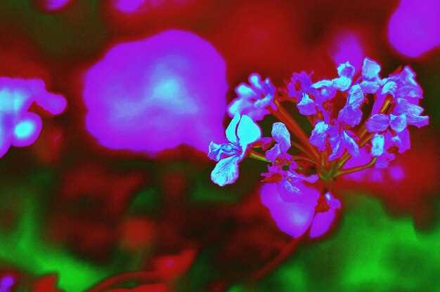 Positive Effects of Clonidine