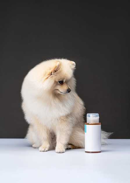 Doxycycline 100mg for dogs