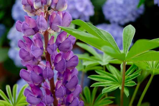 Consulting a healthcare provider