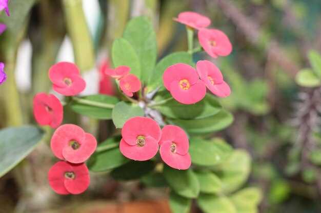 Rare but Serious Side Effects: