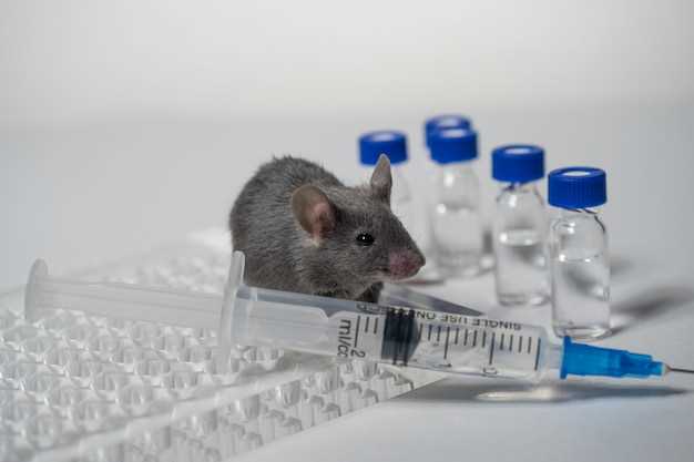 Doxycycline in rats