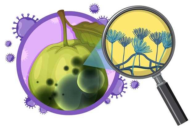Doxycycline infected cyst