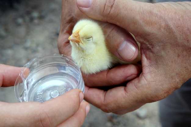 1. Dosage Adjustment