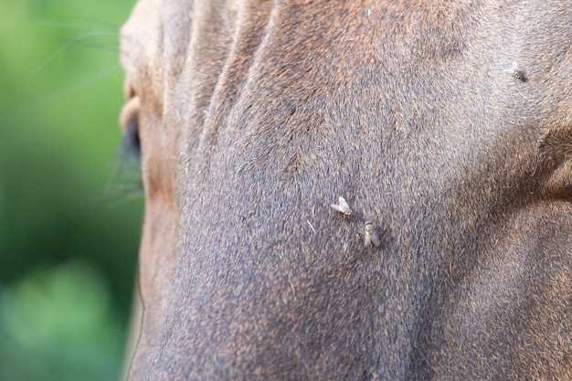 Final thoughts and recommendations