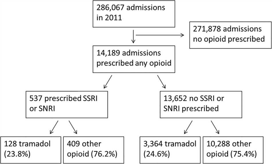 Interaction amitriptyline tramadol