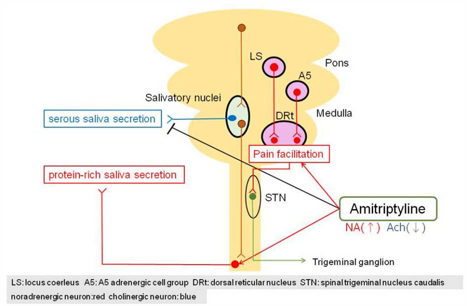 Guidelines for finding the appropriate dosage