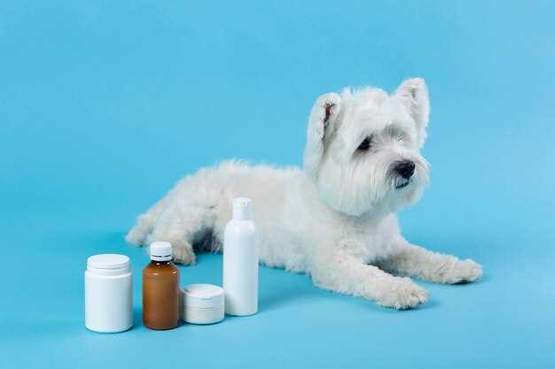 Pet meds doxycycline